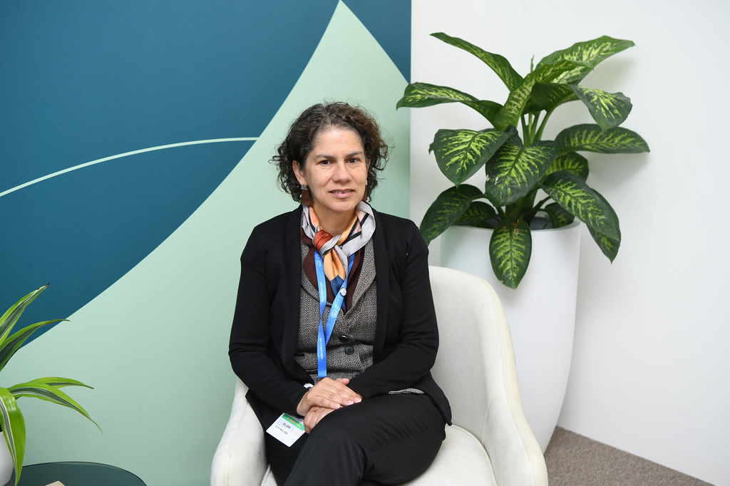 La ministra de Medio Ambiente de Chile, Maisa Rojas, durante una entrevista en la COP29 en Bakú, Azerbaiyán.